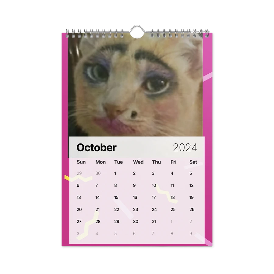 Wall Calendar (2024): Meme Cats product image (16)