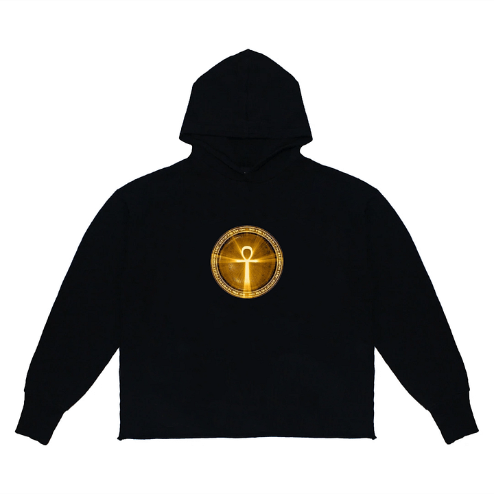 Gold Ankh Hoodie product image (1)