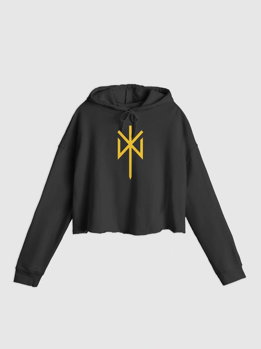 SIGNATURE AE BIND RUNE CROP HOODIE product image (1)