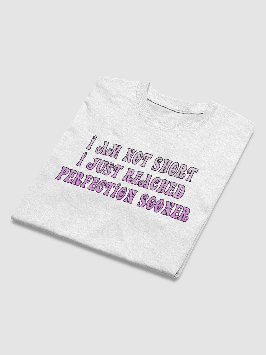 Perfection T-Shirt product image (4)