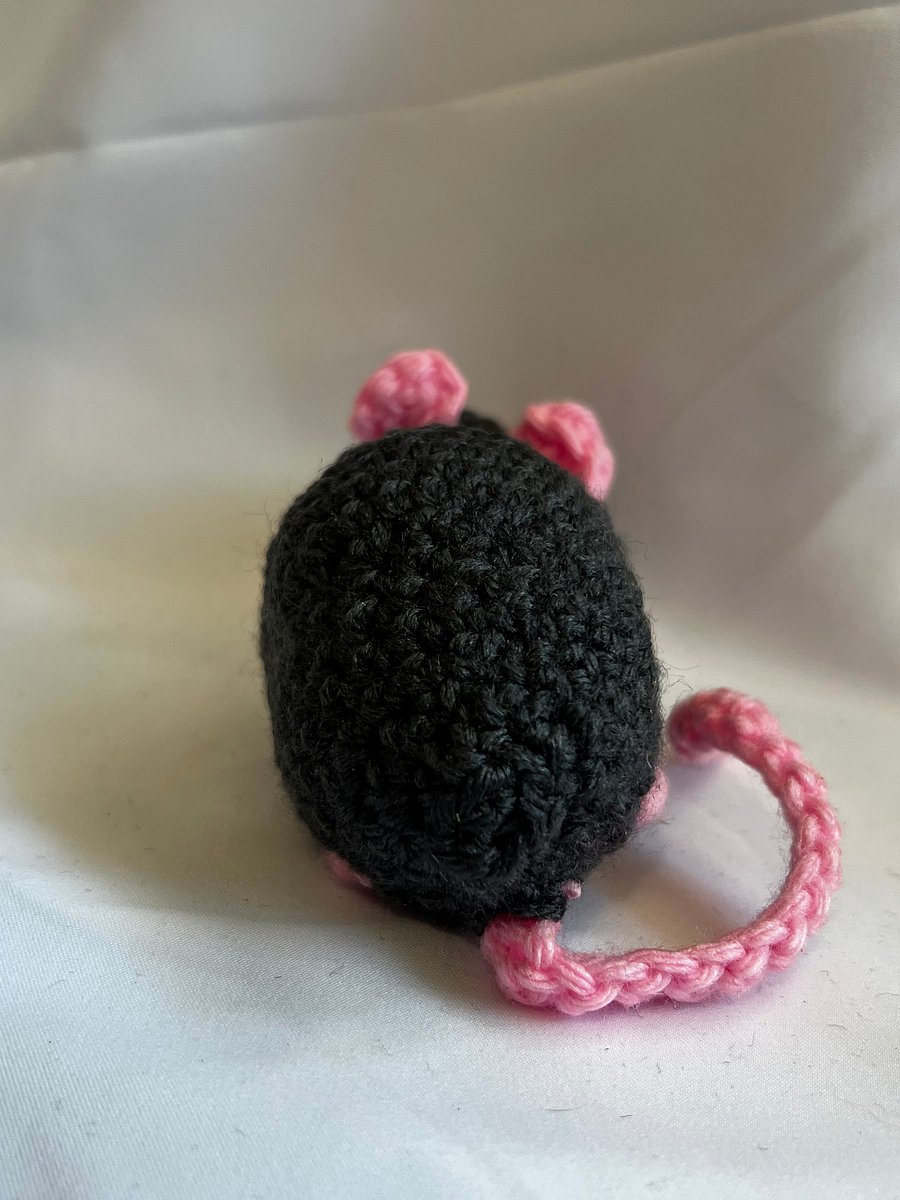 Scrappy the Street Rat product image (10)