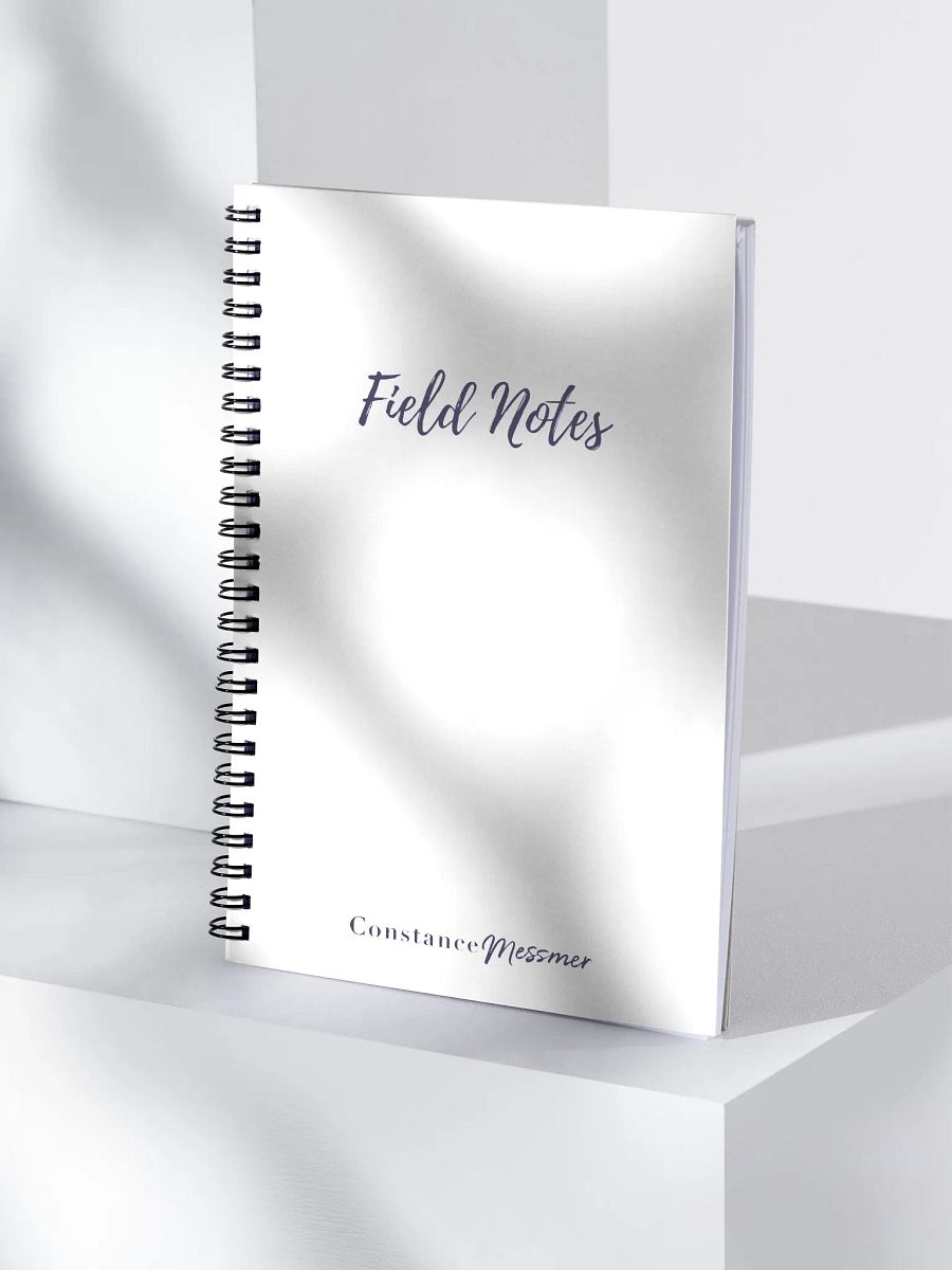 Field Notes Bullet Notebook product image (4)