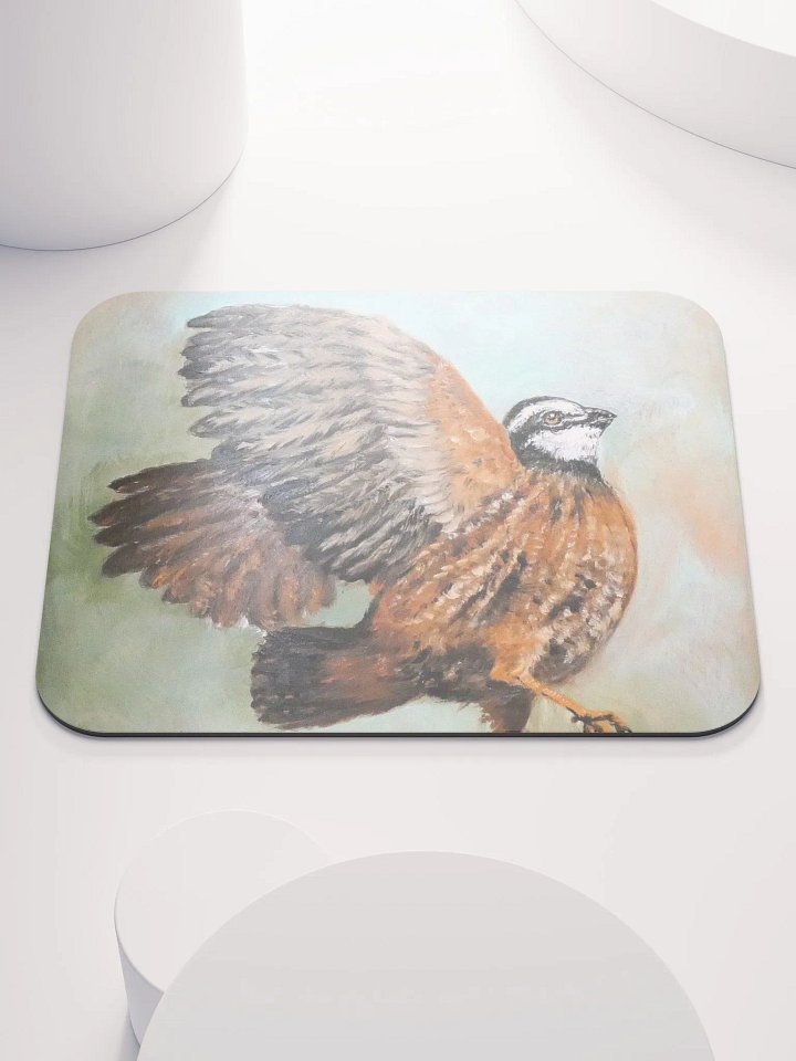Bobwhite quail product image (1)