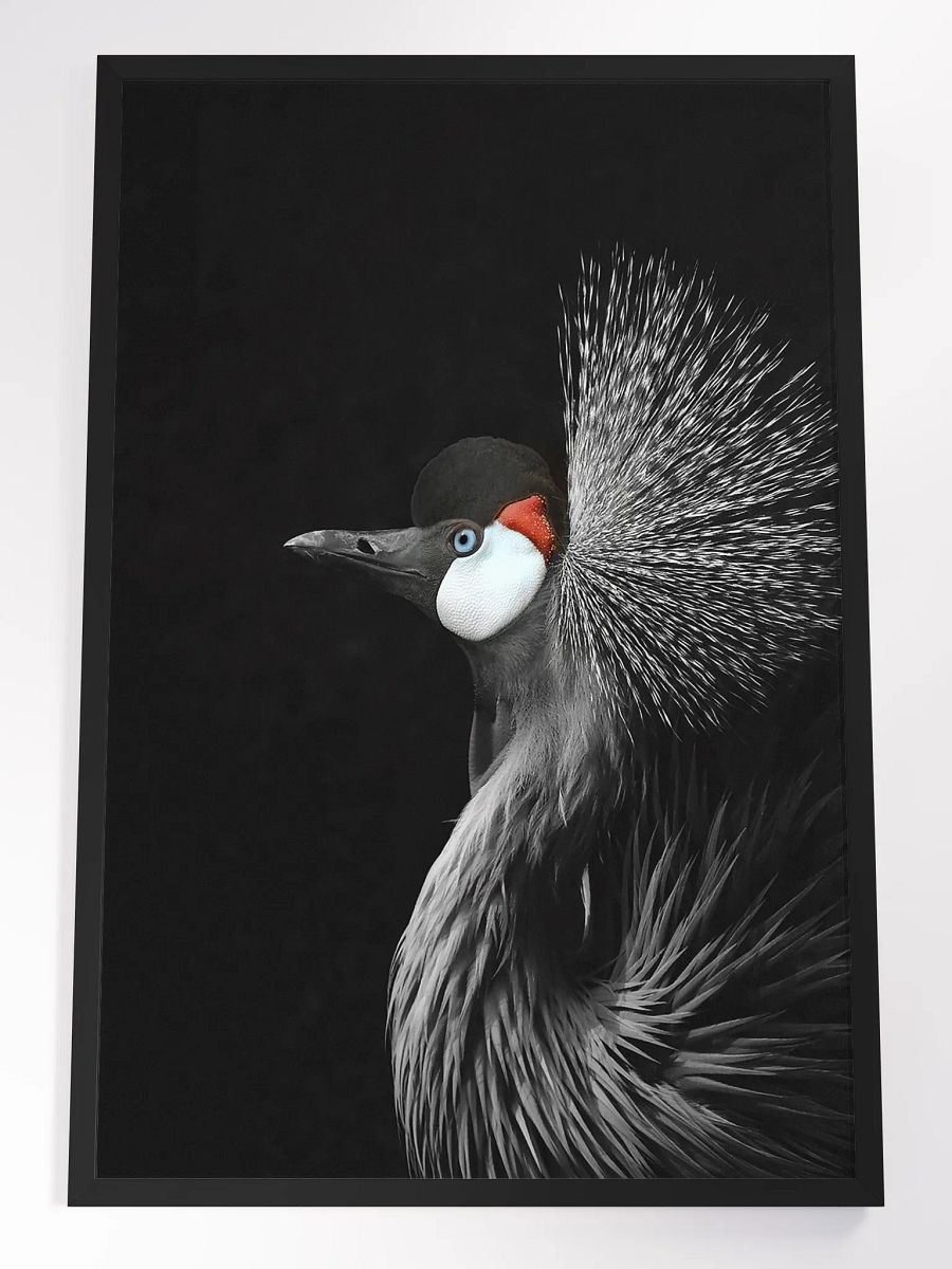 Black Crowned Crane - limited edition product image (1)