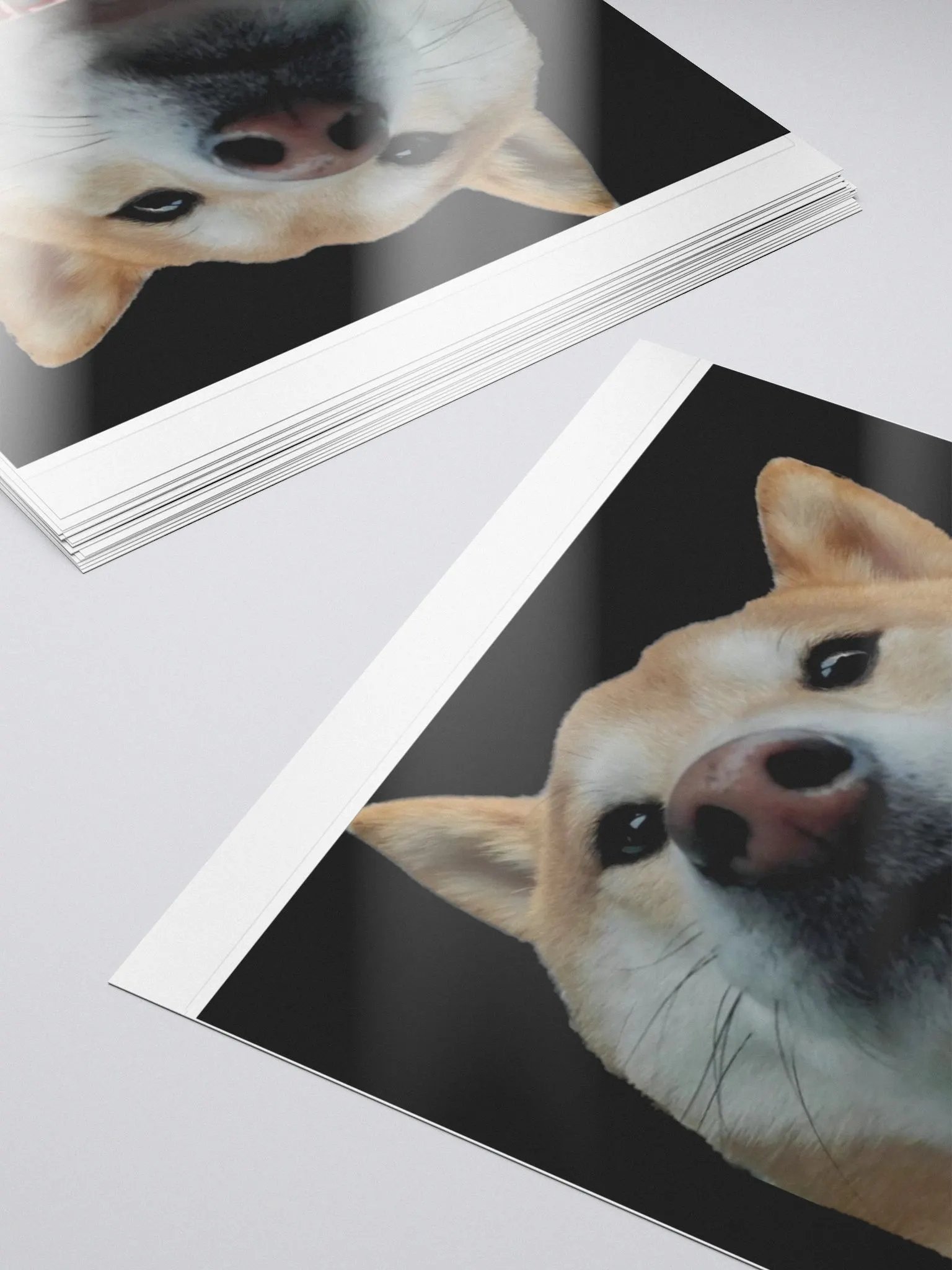 Dandelion "THEN PERISH" (Sticker) product image (5)