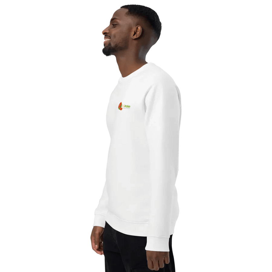 Raw Intuition Healing Raglan Sweatshirt product image (6)