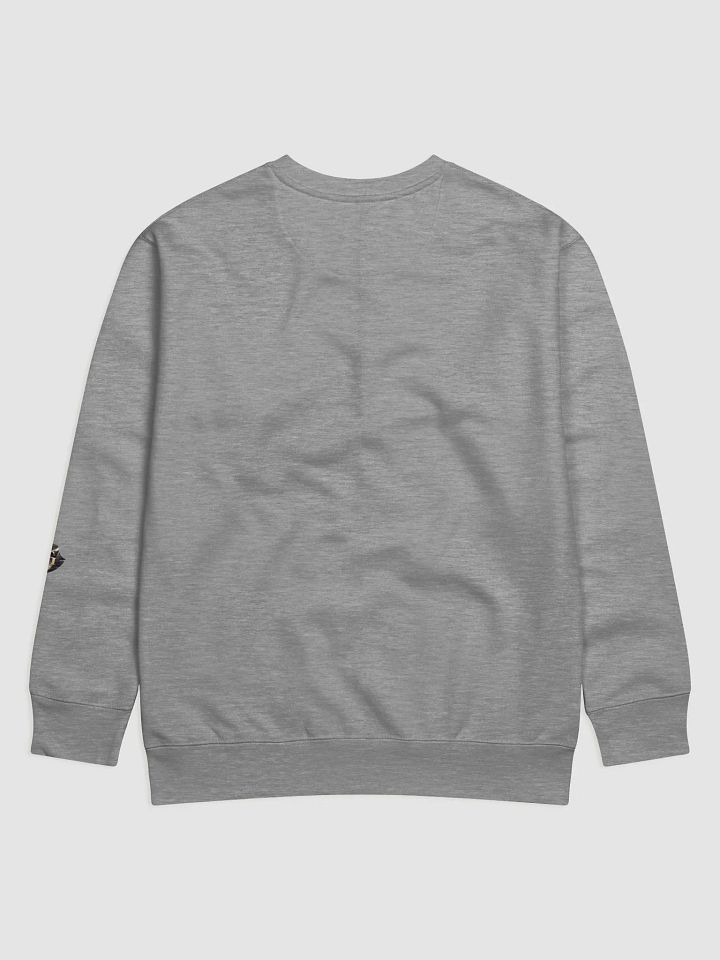 Aurora Borealis Snow Globe Sweatshirt product image (16)