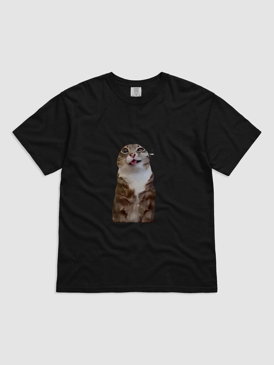 Rigby Cat T-Shirt product image (1)