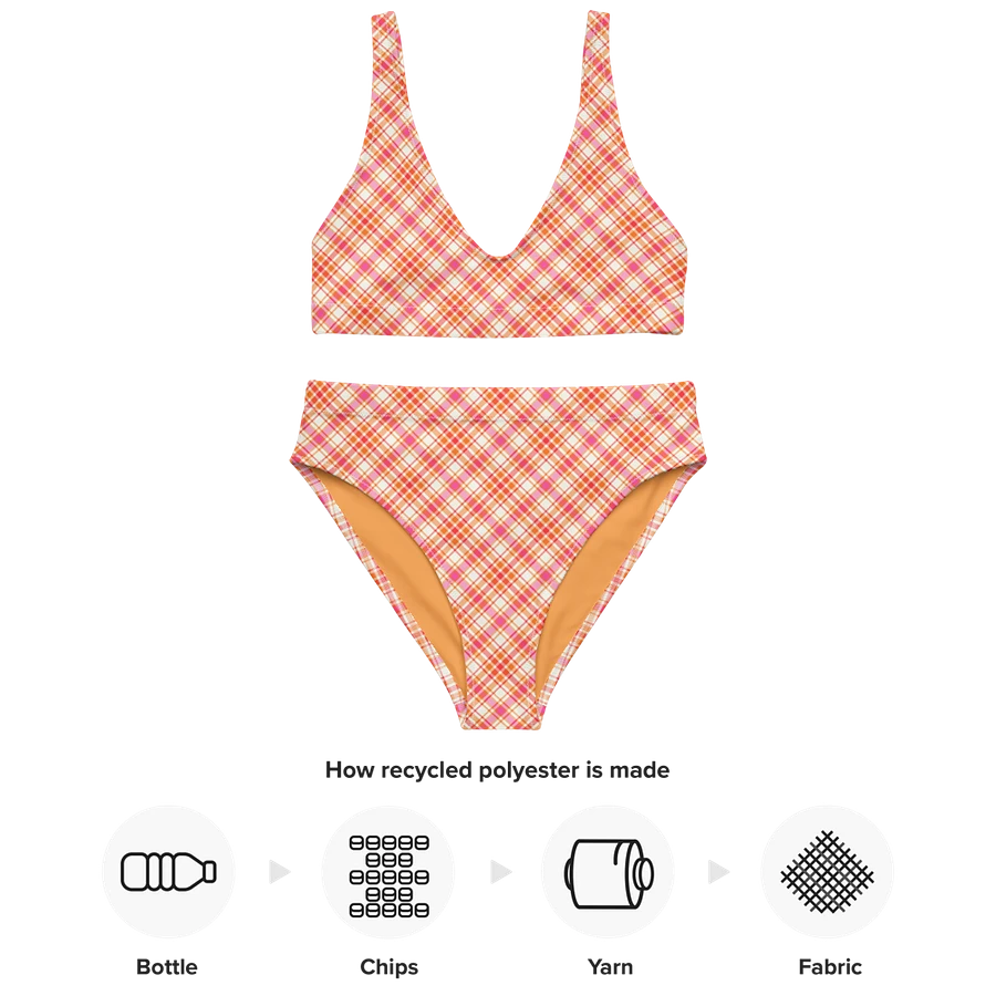 Orange and Hot Pink Plaid Bikini product image (10)