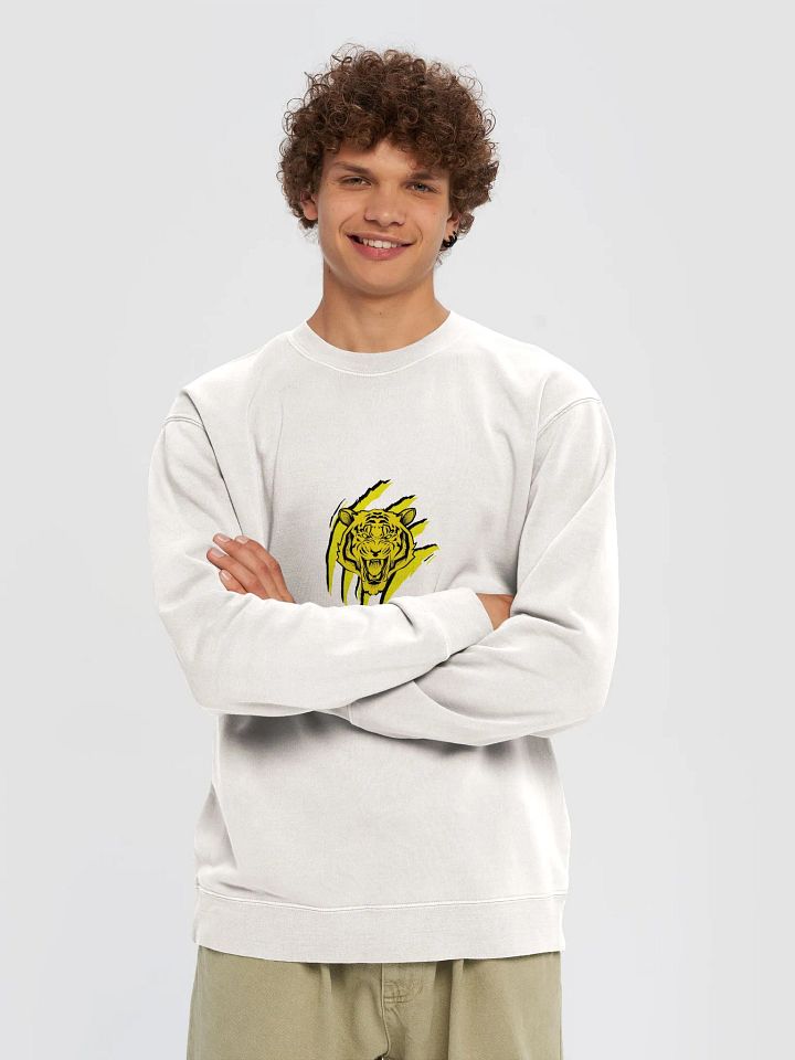 Sudadera con pigmento gráfico edición TryTiger product image (1)
