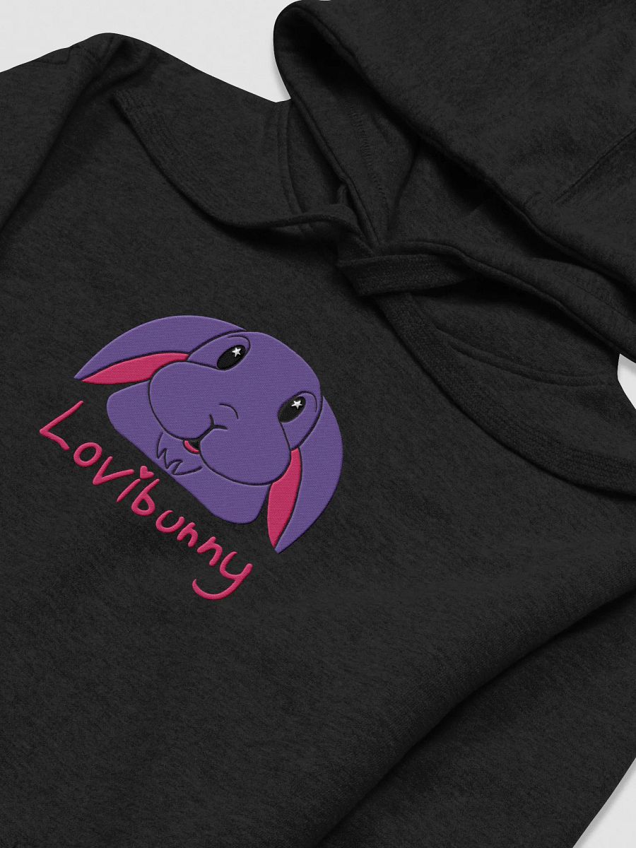 Lovibunny Logo Embroidered Hoodie product image (3)