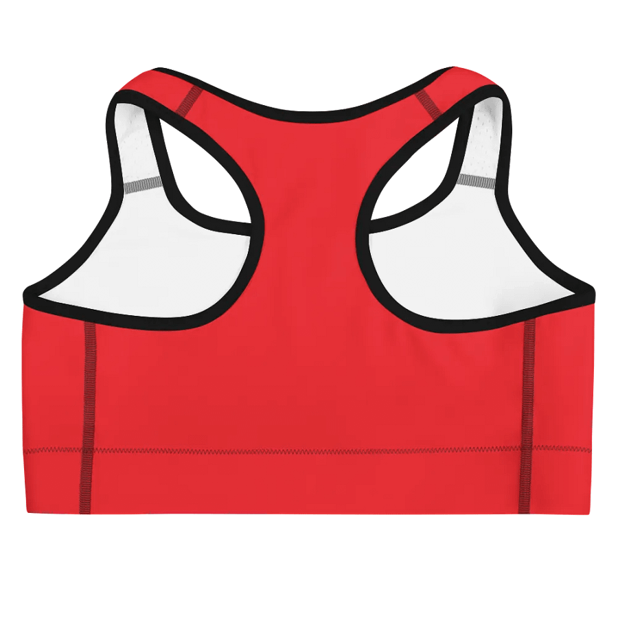 Tedddy Sports Bra product image (4)