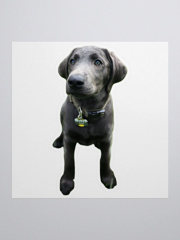 Sokka sticker product image (1)