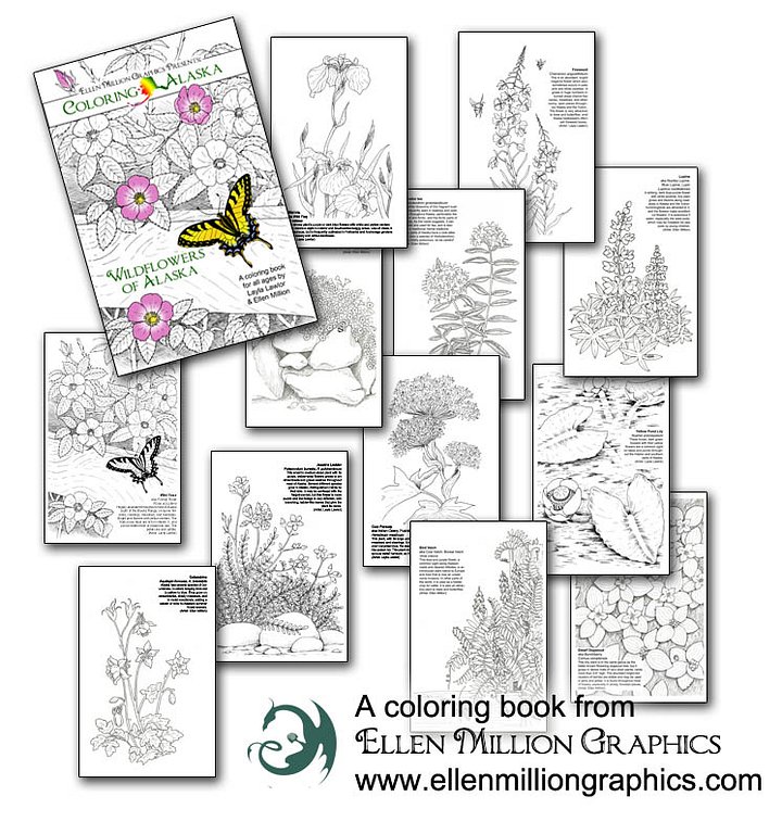 Coloring Alaska - Coloring Books product image (2)