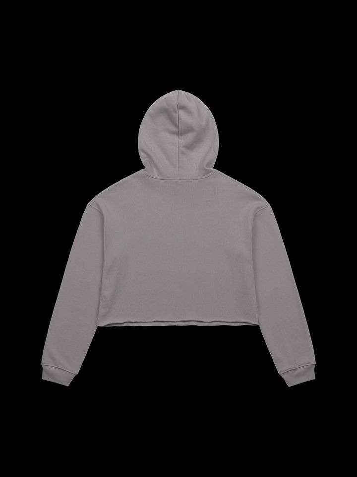 Let's Wrap This Up Coffin Crop Hoodie product image (12)