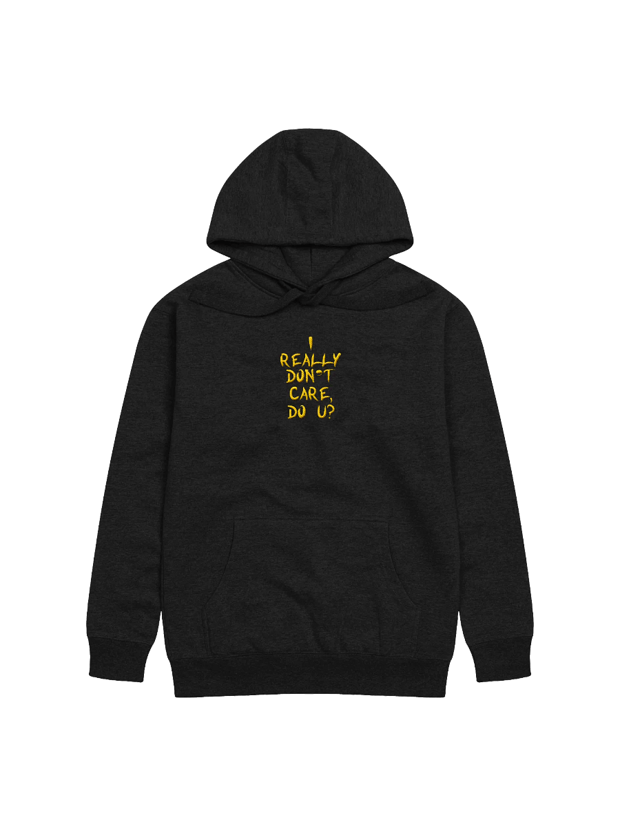 I don't care! Center Embroidered Hoodie product image (1)
