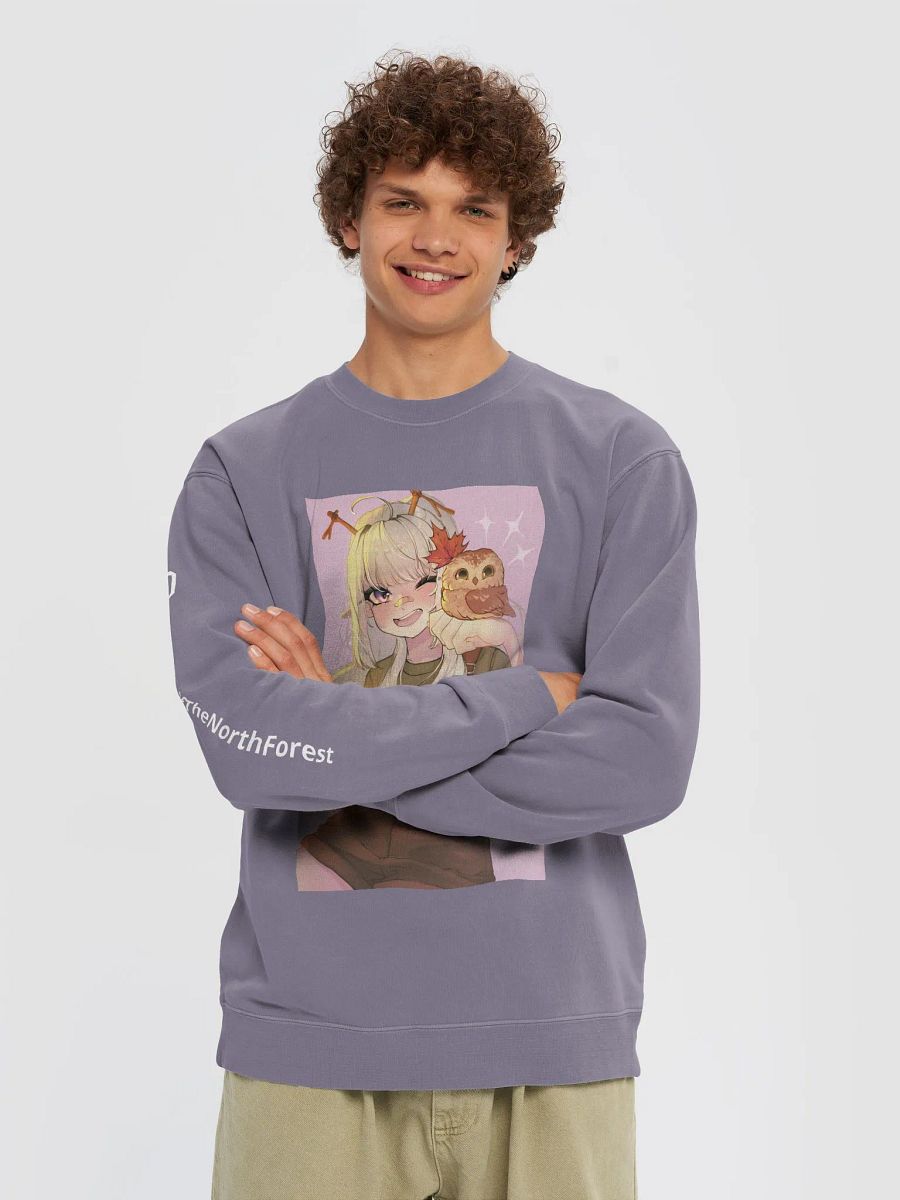Northern Saw-whet Owl Midweight Pigment Dyed Sweater product image (14)
