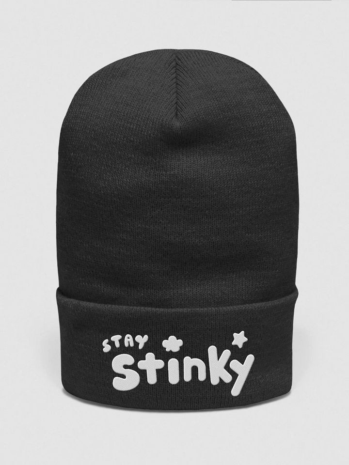 Stay Stinky Beanie product image (1)