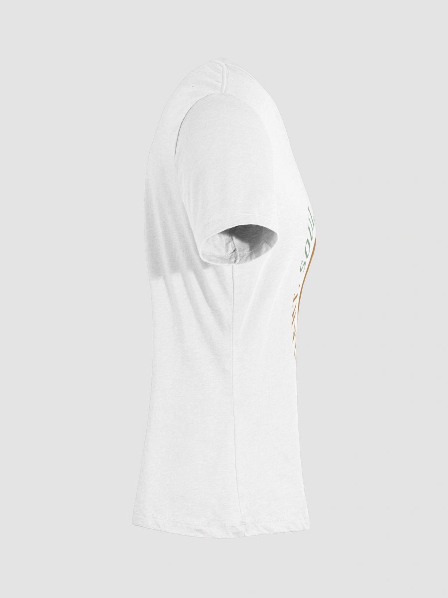 Heart, Soul, Mind, Strength Women's V-Neck Shirt product image (5)