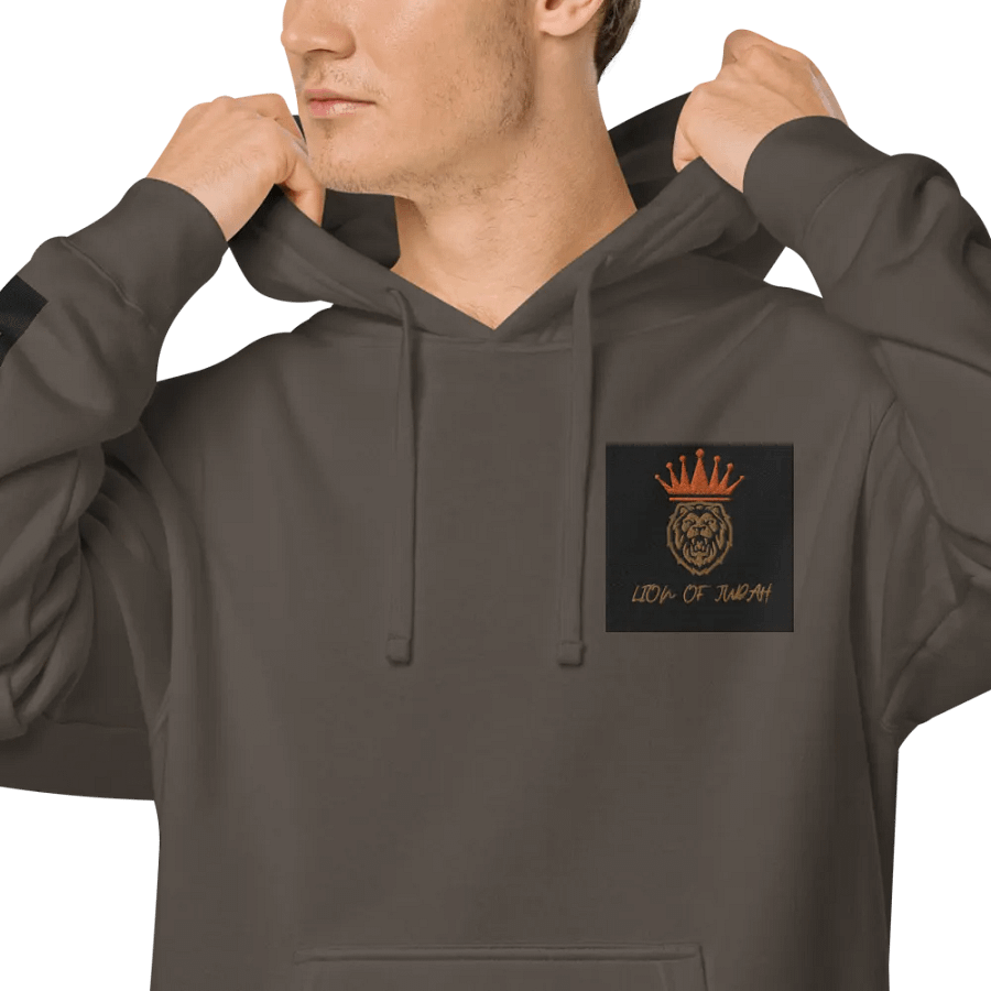 Crowned Lion of Judah Hoodie product image (9)
