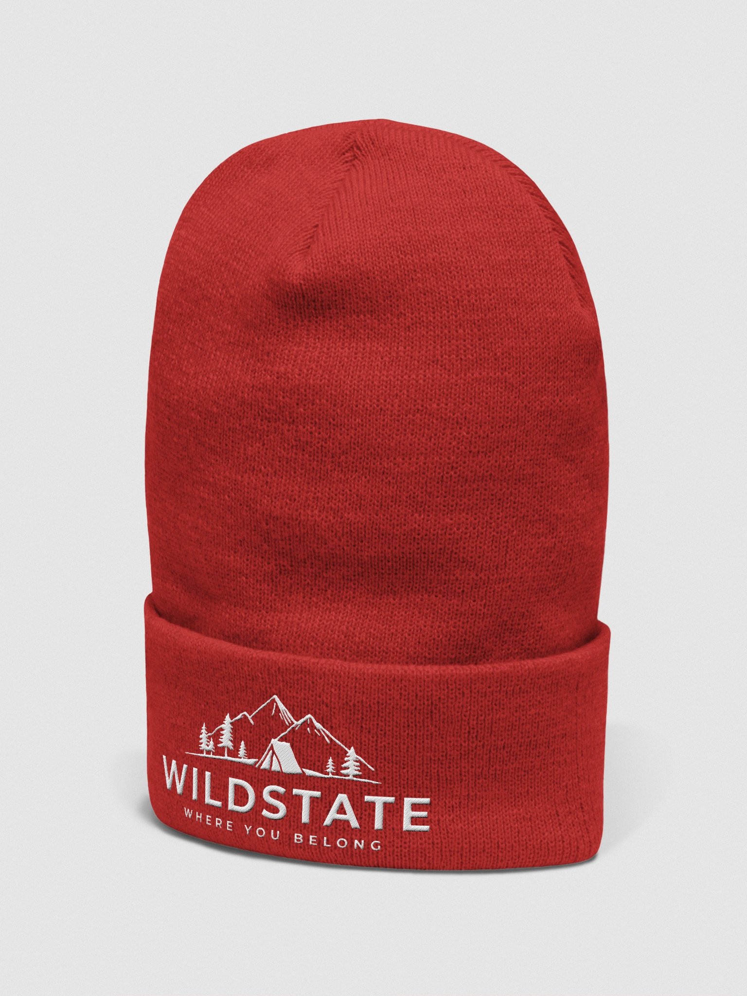 Cuffed Beanie - Wildstate product image (38)