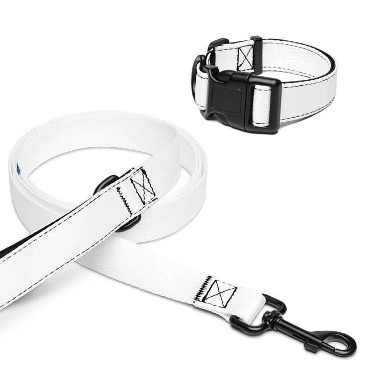 Kid Airplane (Pet Collar & Leash) product image (2)