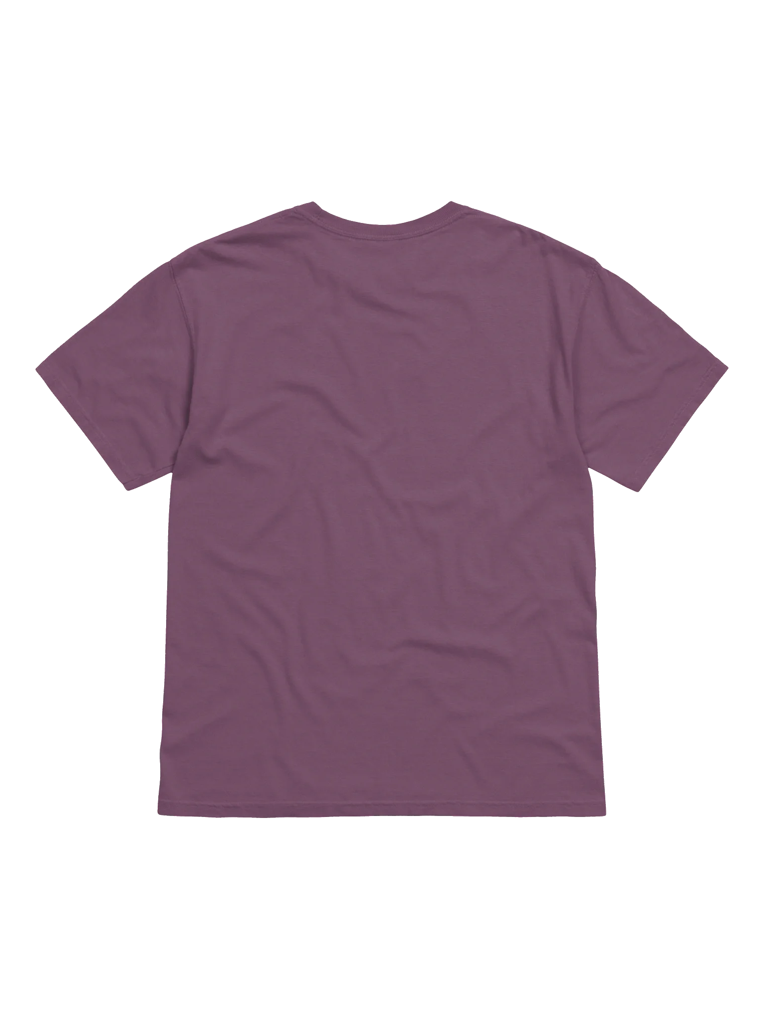 WASHINGTON Sunday School Comfort Colors Tee product image (2)