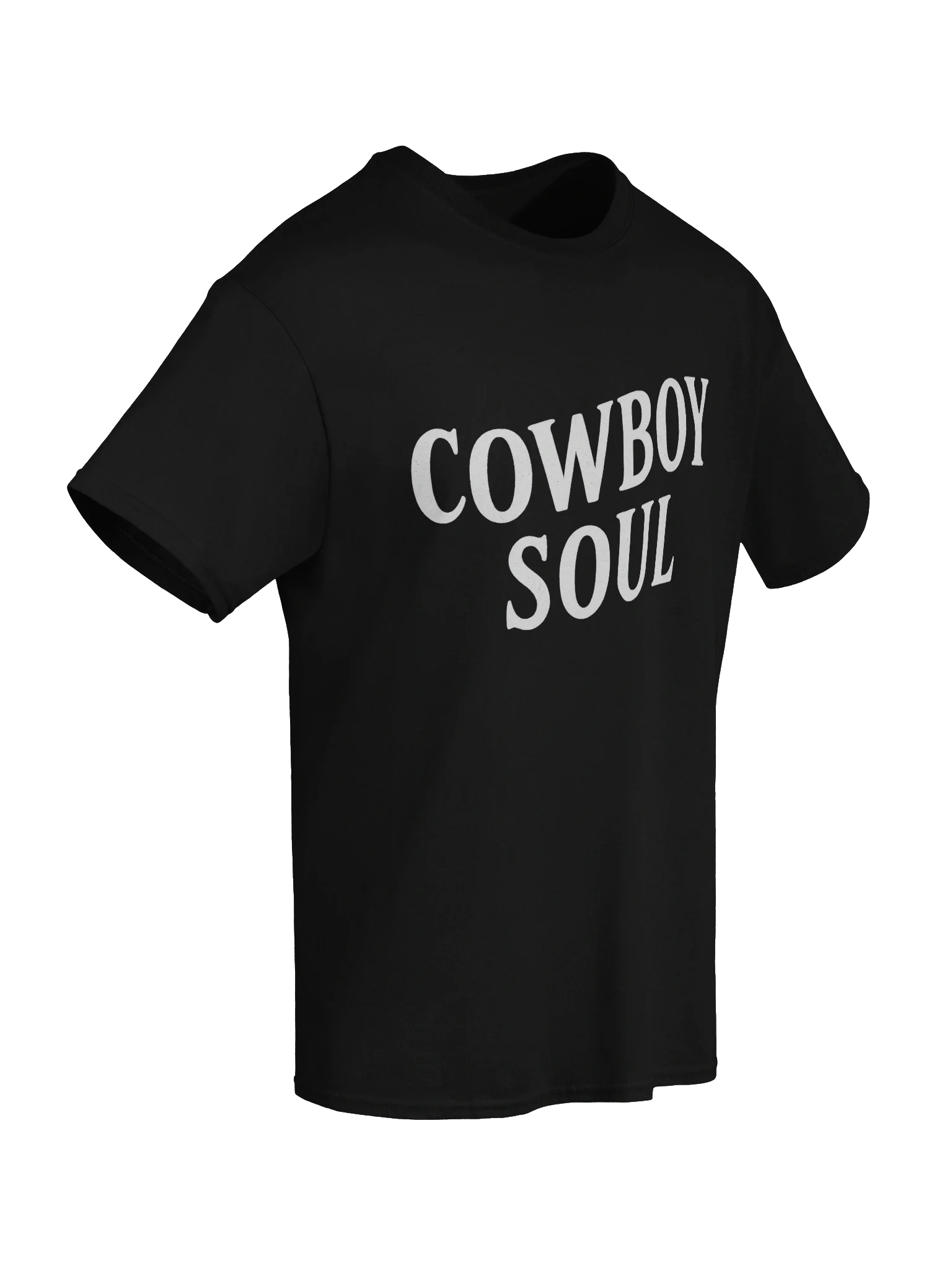 Cowboy Soul Texas Boxy Fit Unisex T-Shirt product image (67)