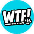 What The Fluff TV