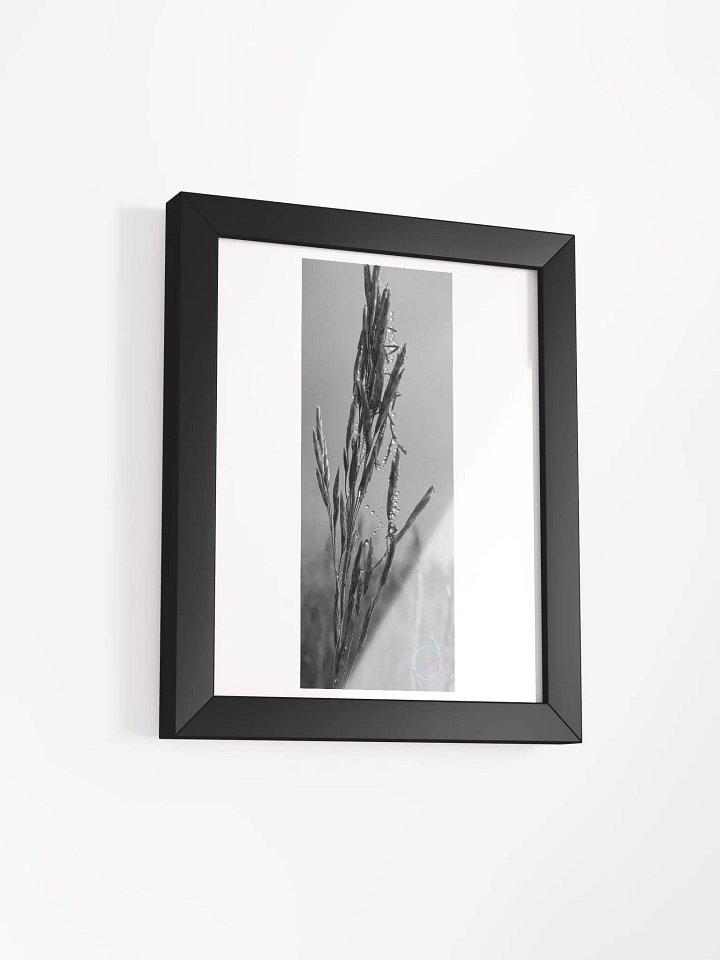 Dewy web product image (3)