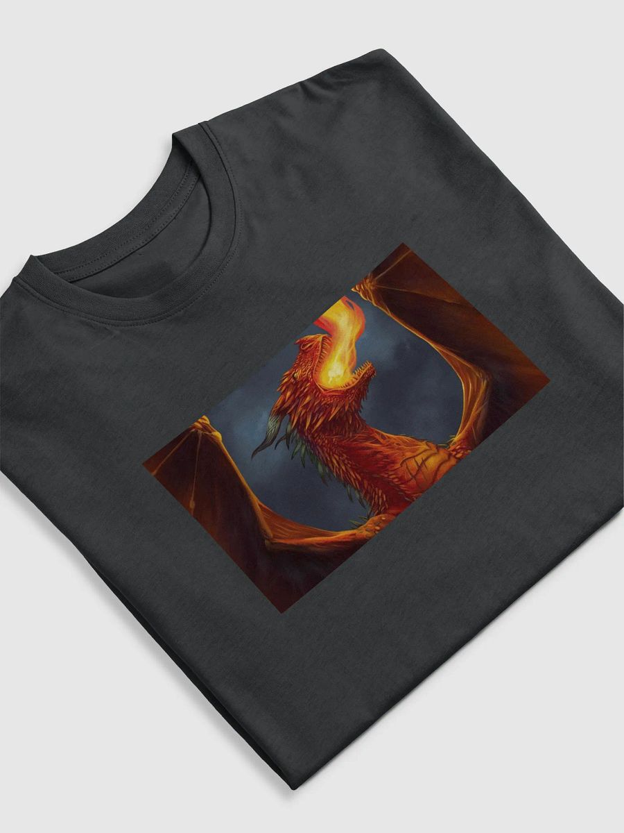Drachen-Shirt product image (5)