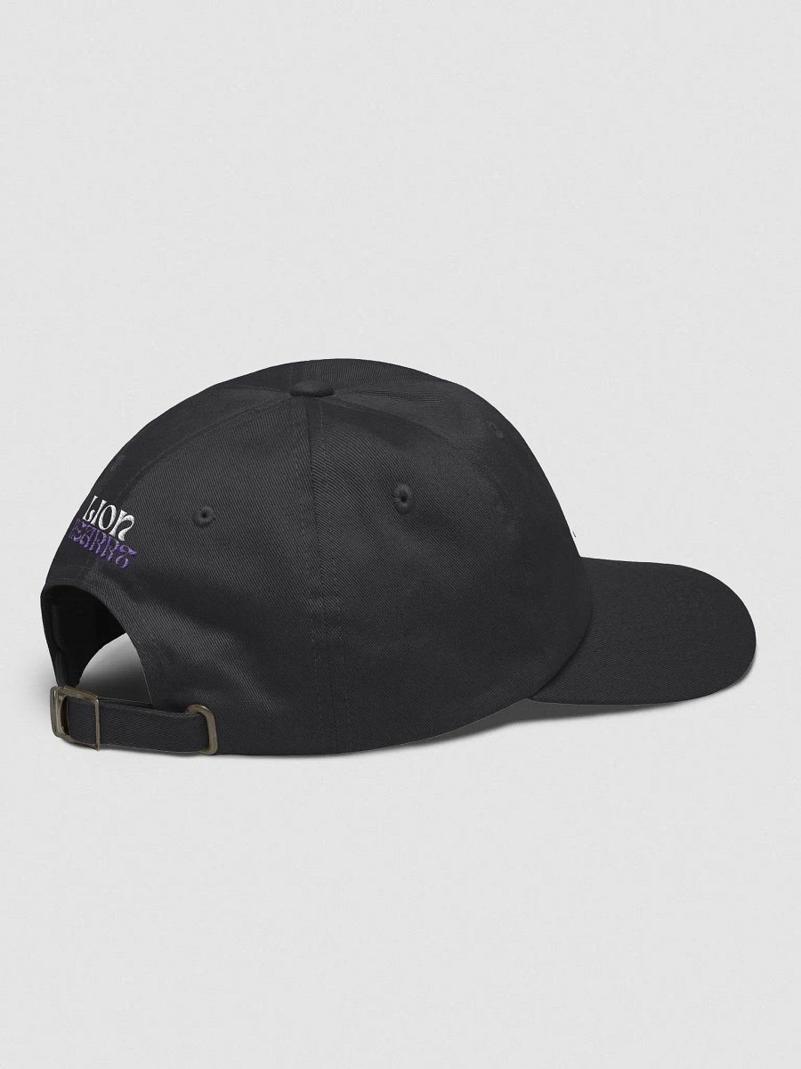 Logo Hat product image (3)