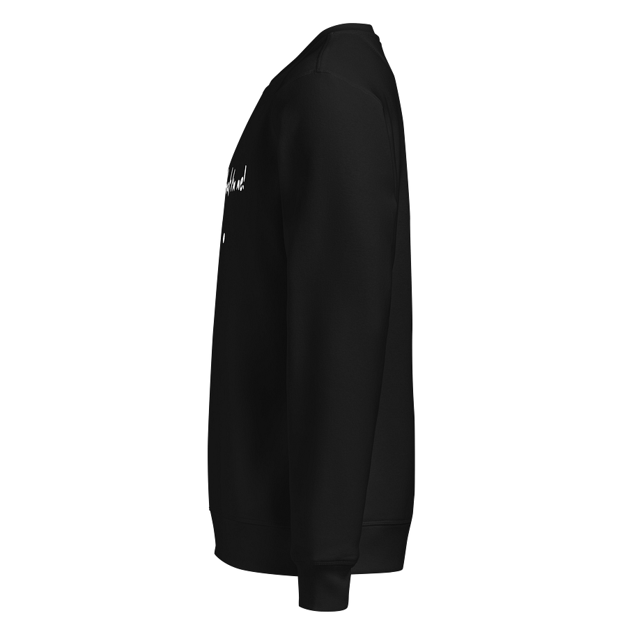 Glad That I'm Me Sweatshirt - DARKS product image (3)
