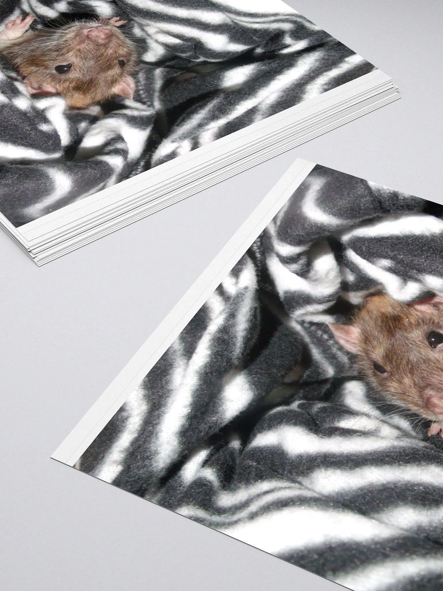 I'm a zebra sticker product image (4)