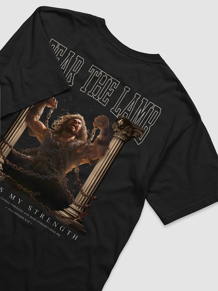 Samson - God is my strength product image (1)