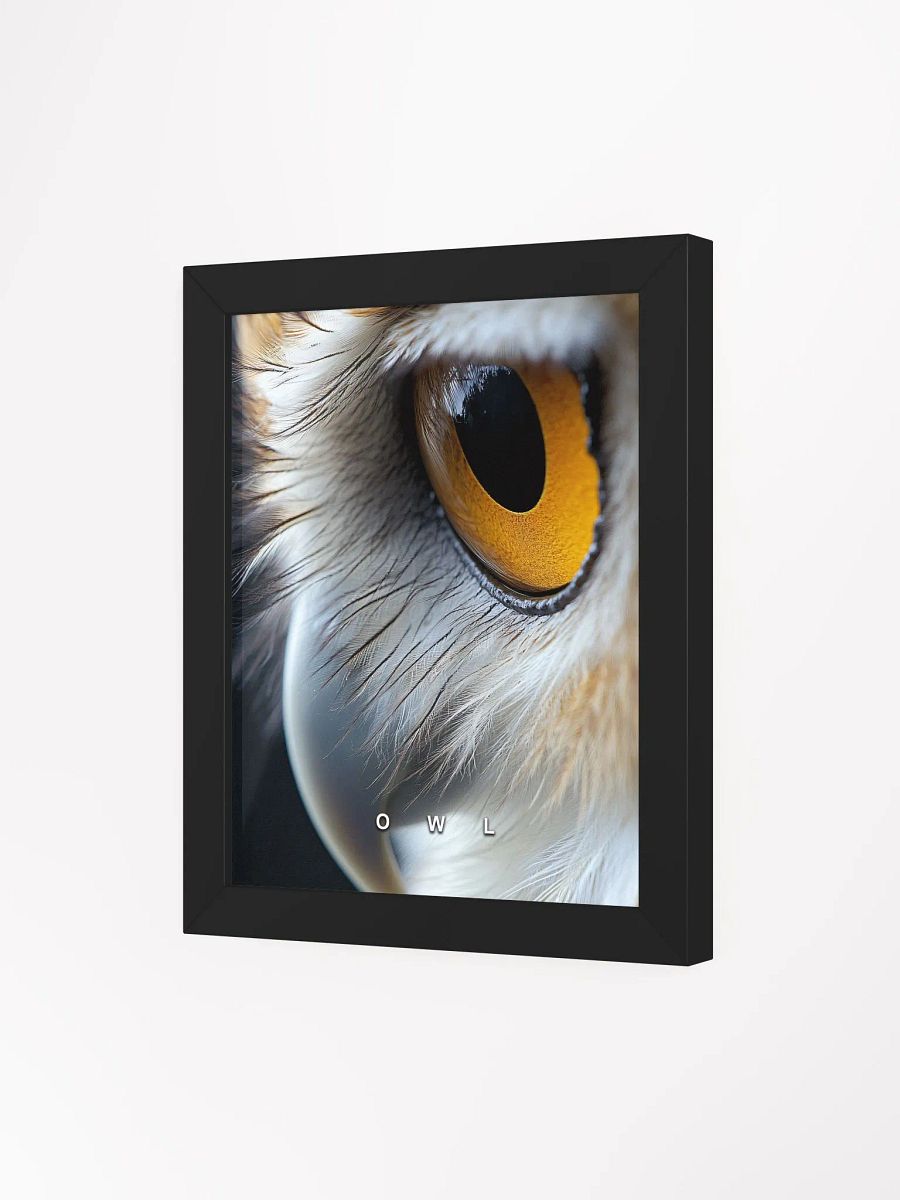 Owl's Eye Matte Poster product image (29)