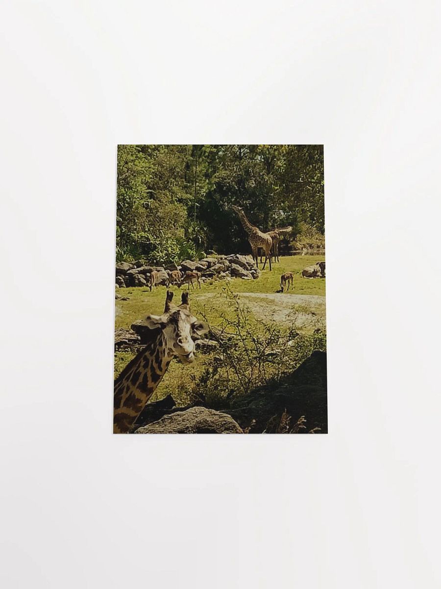 Giraffe Sanctuary product image (33)