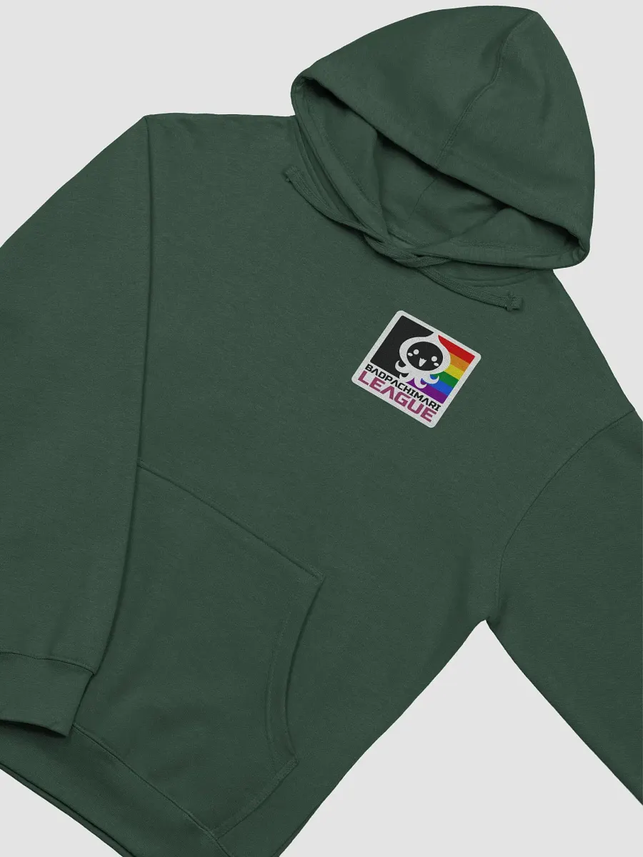 BPL Pride Midweight Hoodie product image (26)