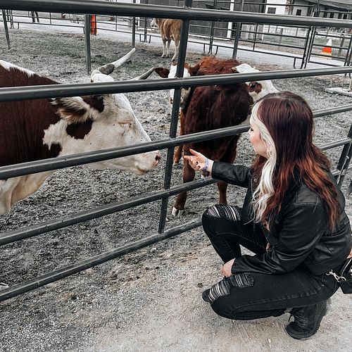 🐄