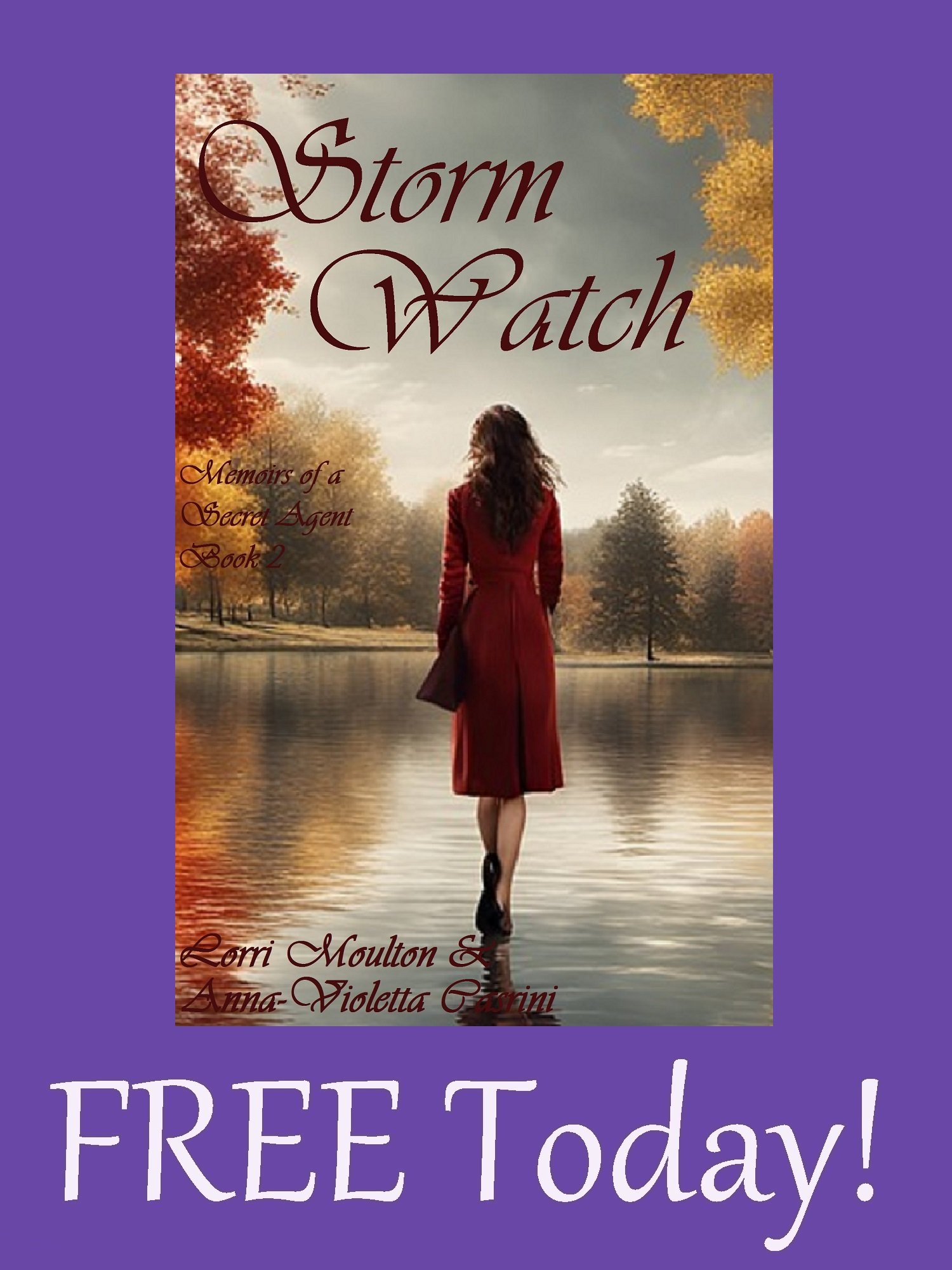 Storm Watch: Memoirs of a Secret Agent Book 2 EBOOK - FREE TODAY! product image (1)