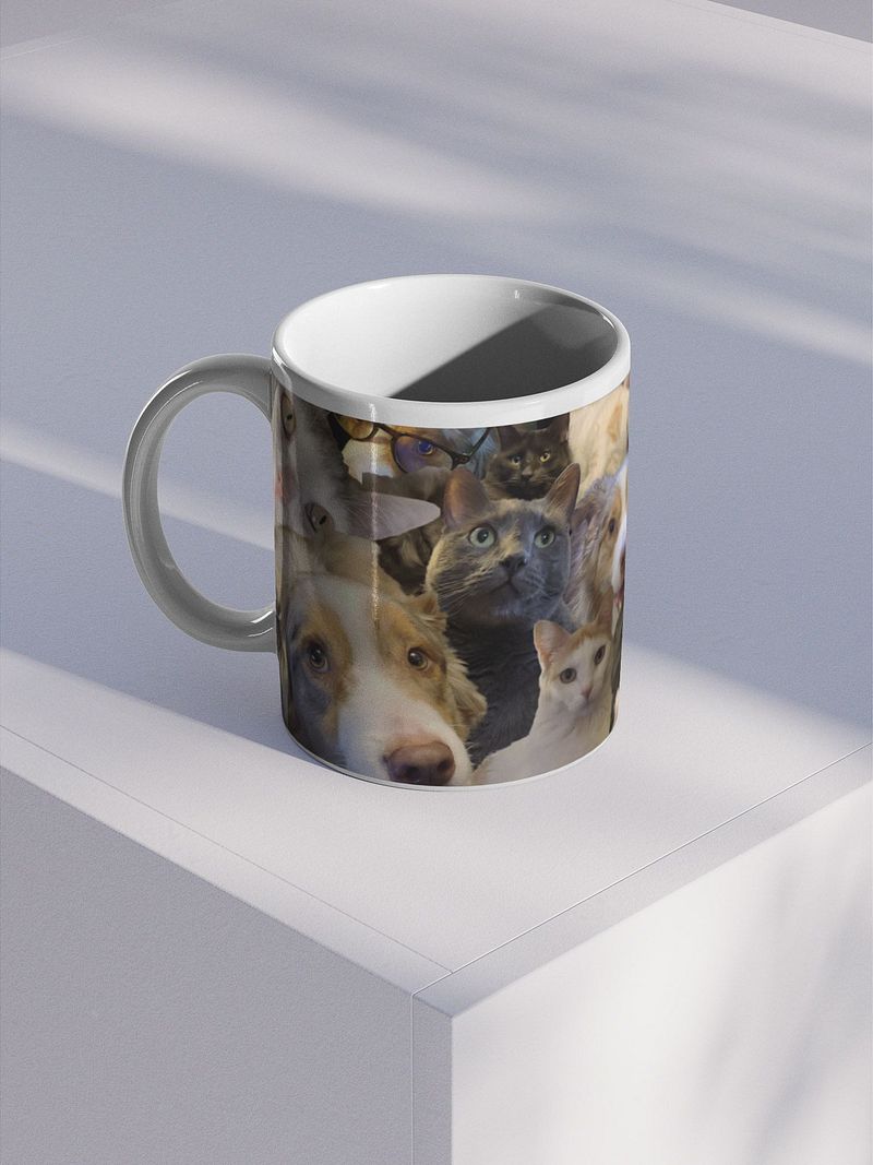 holesome Pet Squad Mug