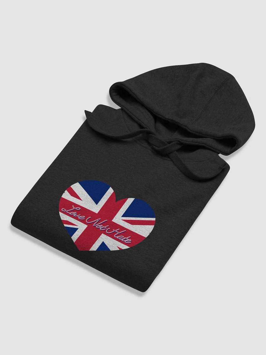 Love Not Hate Hoodie product image (44)