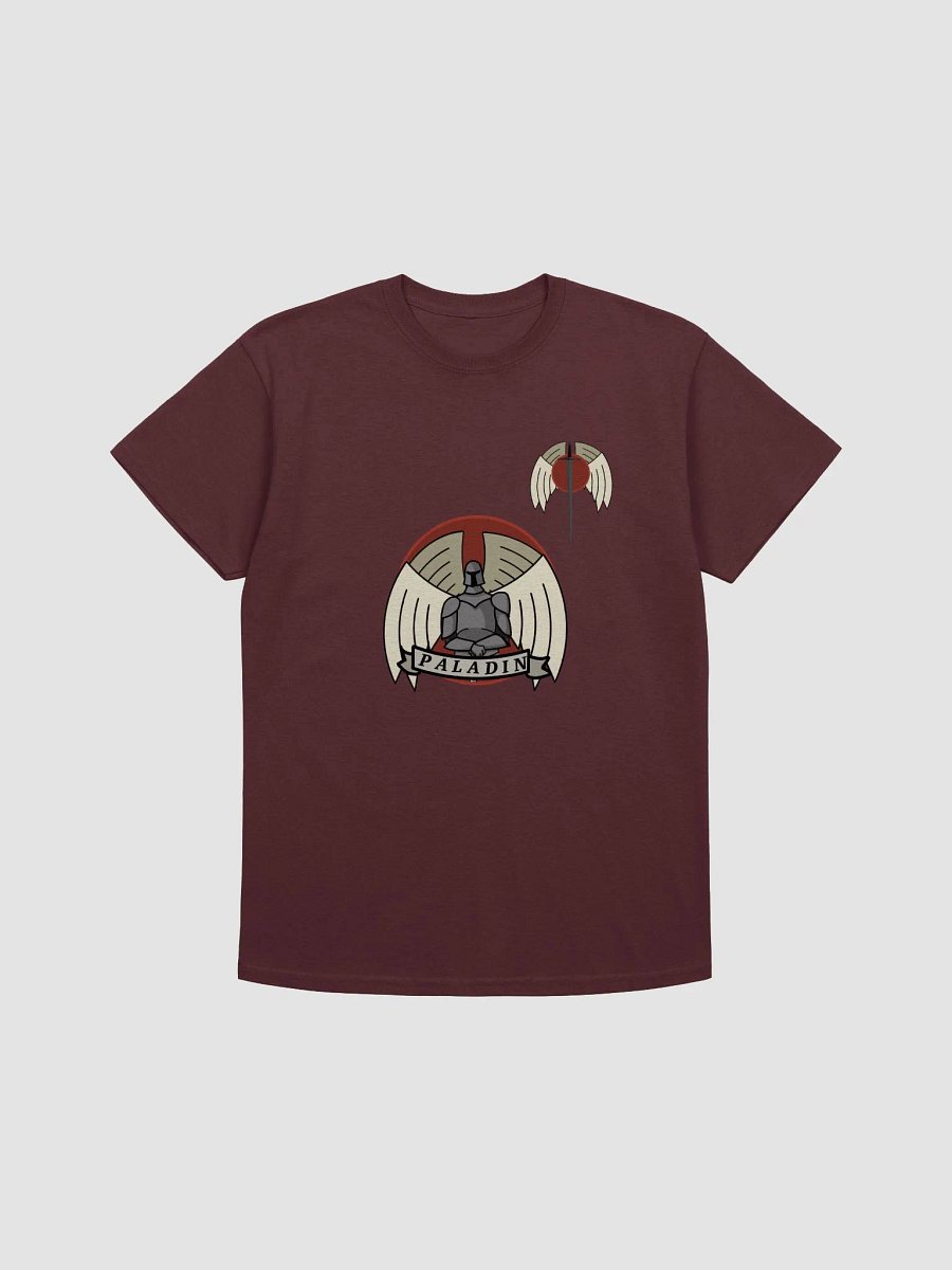 Paladin Class t-shirt product image (1)