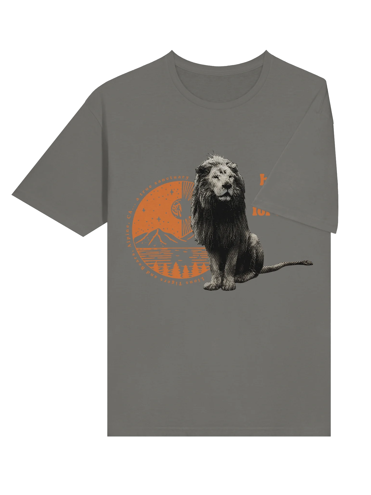 Wild Hearts Soft-style Tee product image (6)