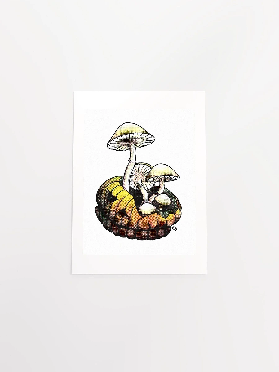 Mushroom product image (7)