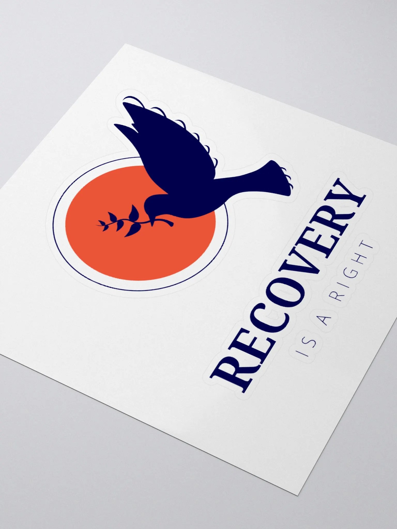 Recovery is a Right product image (7)