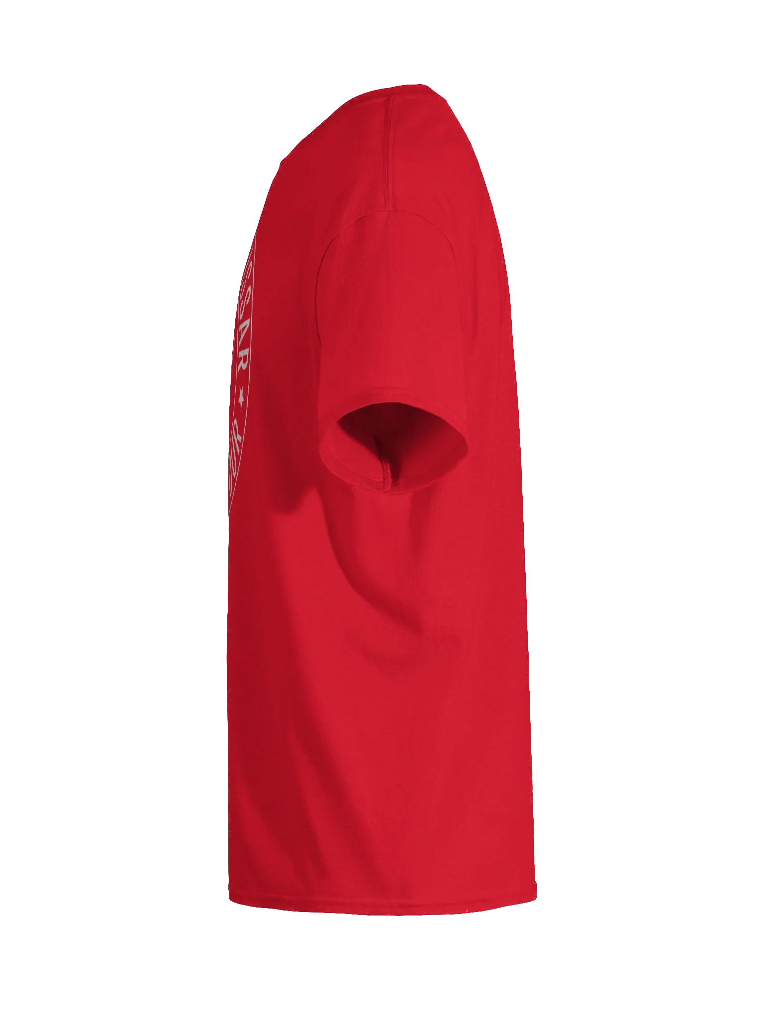 Winged Hussar World Tour product image (21)