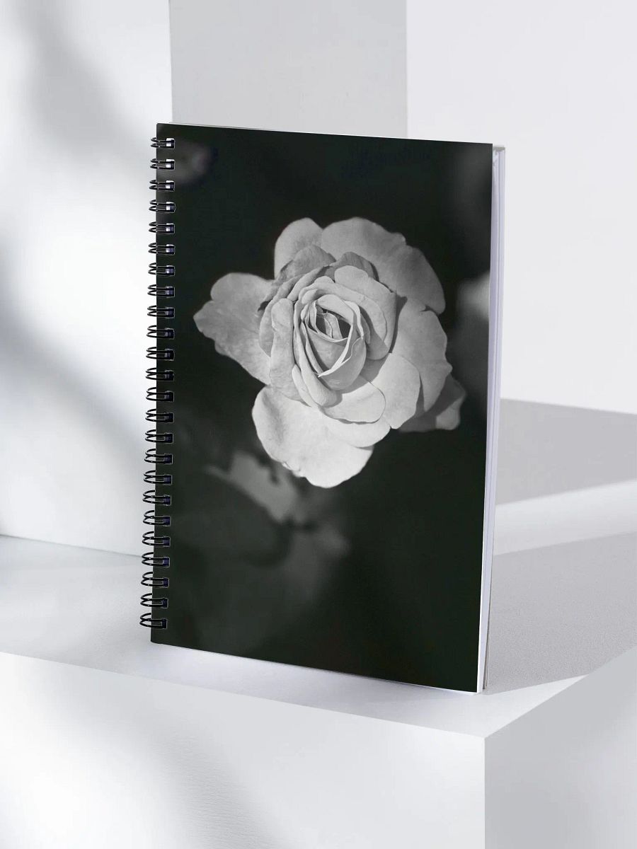 Journal product image (3)