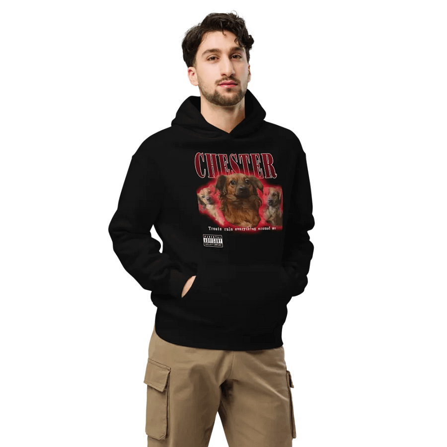 Chester Hip Hop Premium Oversized Hoodie product image (7)