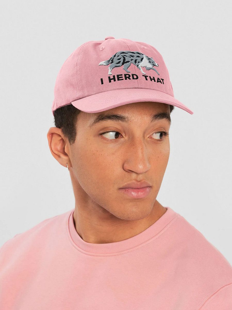 I Herd That Classic Dad Hat(Embroidered) of a Border Collie(Blue Merle) product image (27)